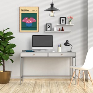 May include: A white desk with two drawers and a black computer monitor on top. There is a black lamp with a white shade on the desk. There is a framed print of a pink and blue flower with the text "VILEPLUME" on it. There is a shelf above the desk with two small frames, one with the letter "P" and the other with the letter "H".