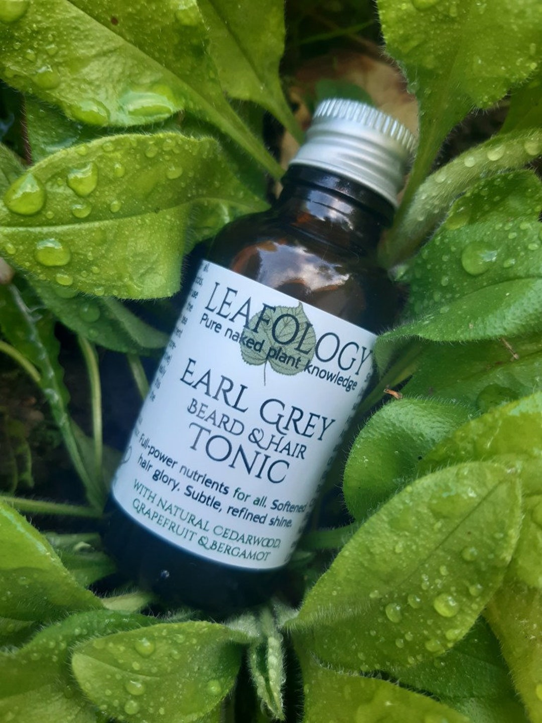 Earl Grey Beard & Hair Tonic With Cedarwood Grapefruit and - Etsy Australia Earl Grey Beard & Hair Tonic With Cedarwood Grapefruit and - Etsy Australia