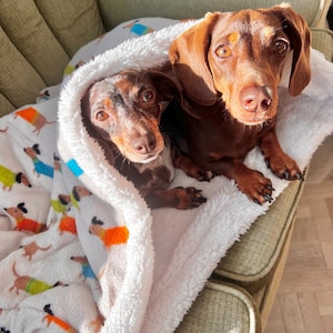 May include: Two dachshund dogs, one wrapped in a white blanket with colourful dachshund prints, and the other lying beside it. The dogs have brown fur and are resting on a green upholstered chair.