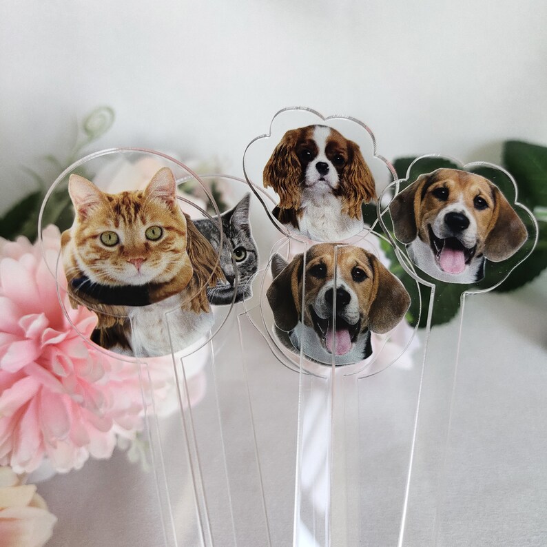 Pet Stir Stick Dog Stir Stick for Wedding Dog Drink Stirrer Etsy