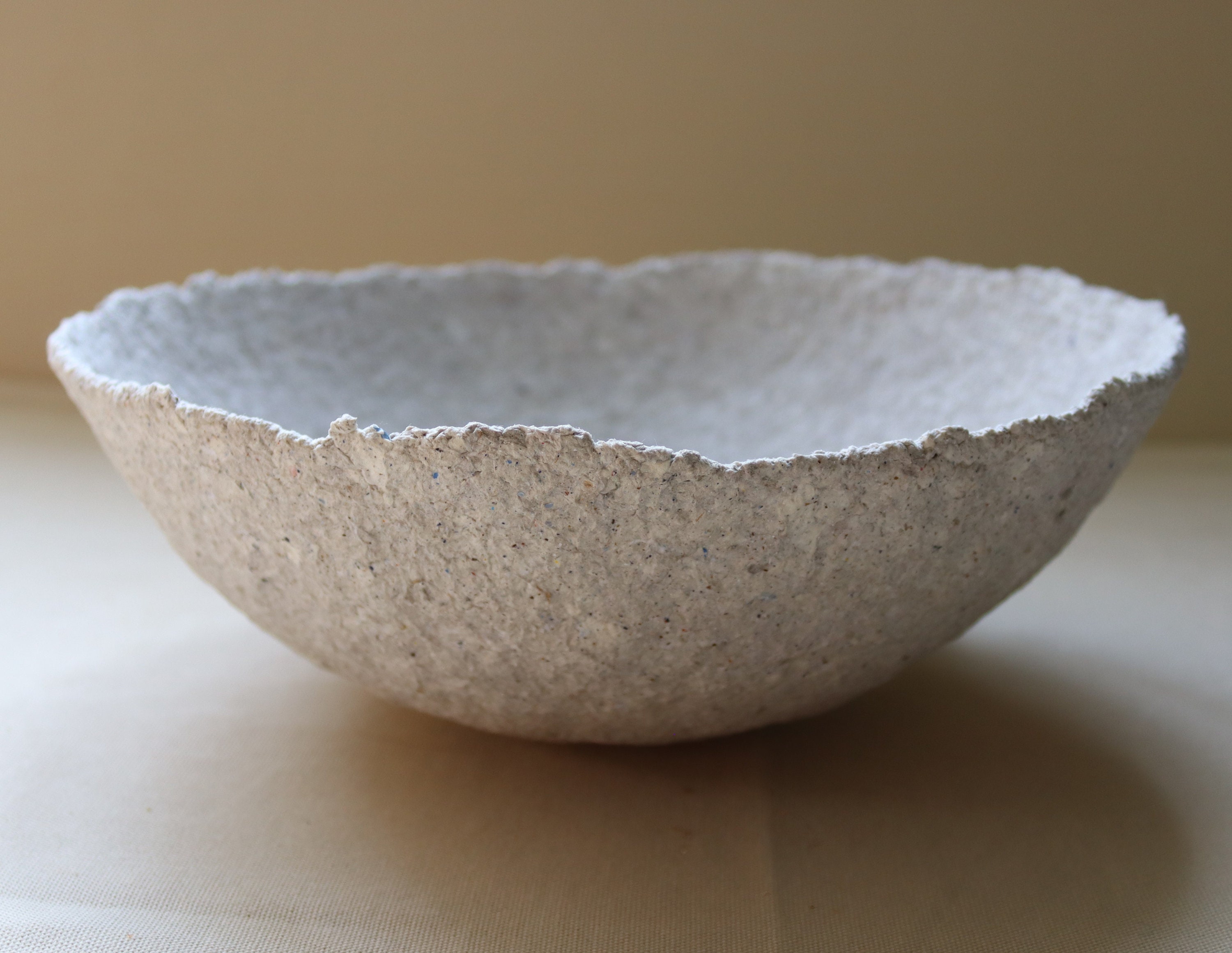 Rooted Organic Paper Mache Bowl by TM Olson Collection