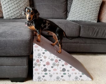 ramp for dachshund