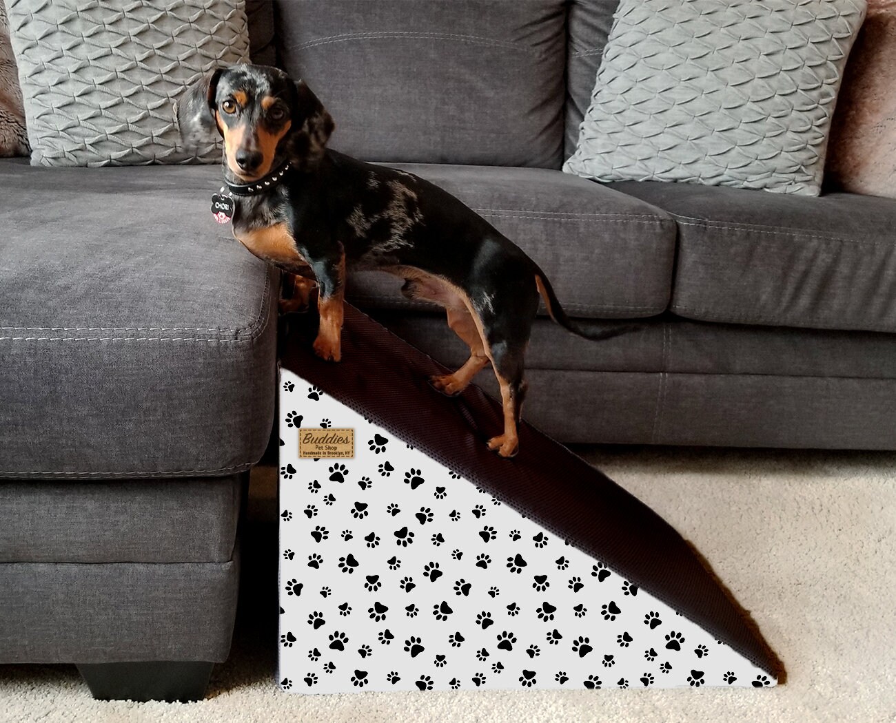 dog ramp