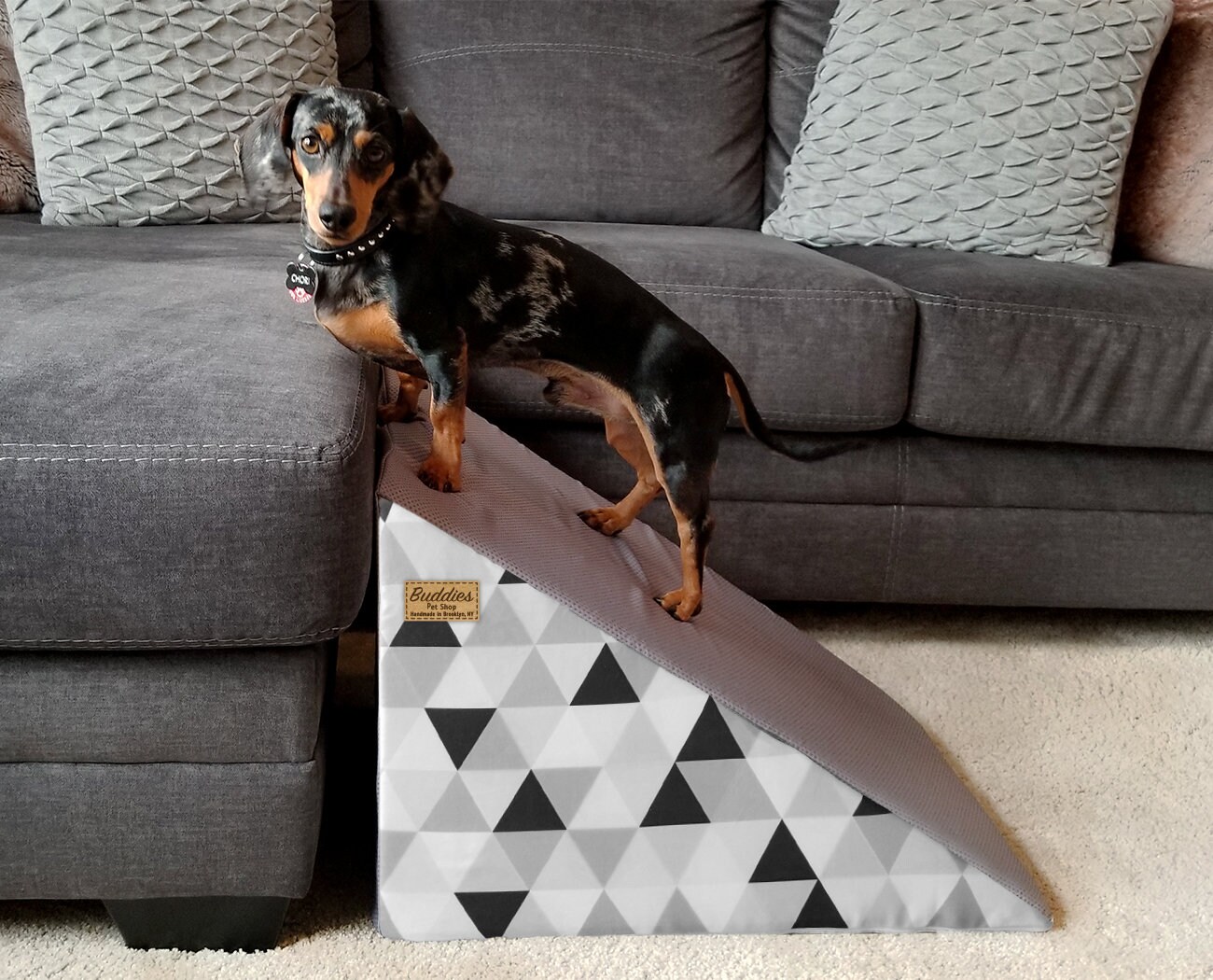weiner dog ramp