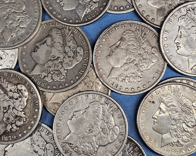 One Random Silver Morgan Dollar