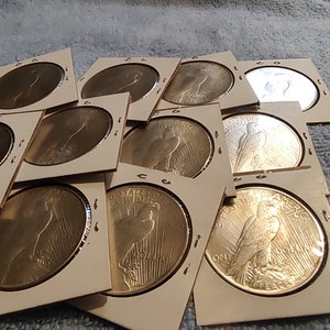 May include: A collection of silver dollar coins featuring the image of a bald eagle with outstretched wings. The coins are displayed in white cardboard holders with a black border.
