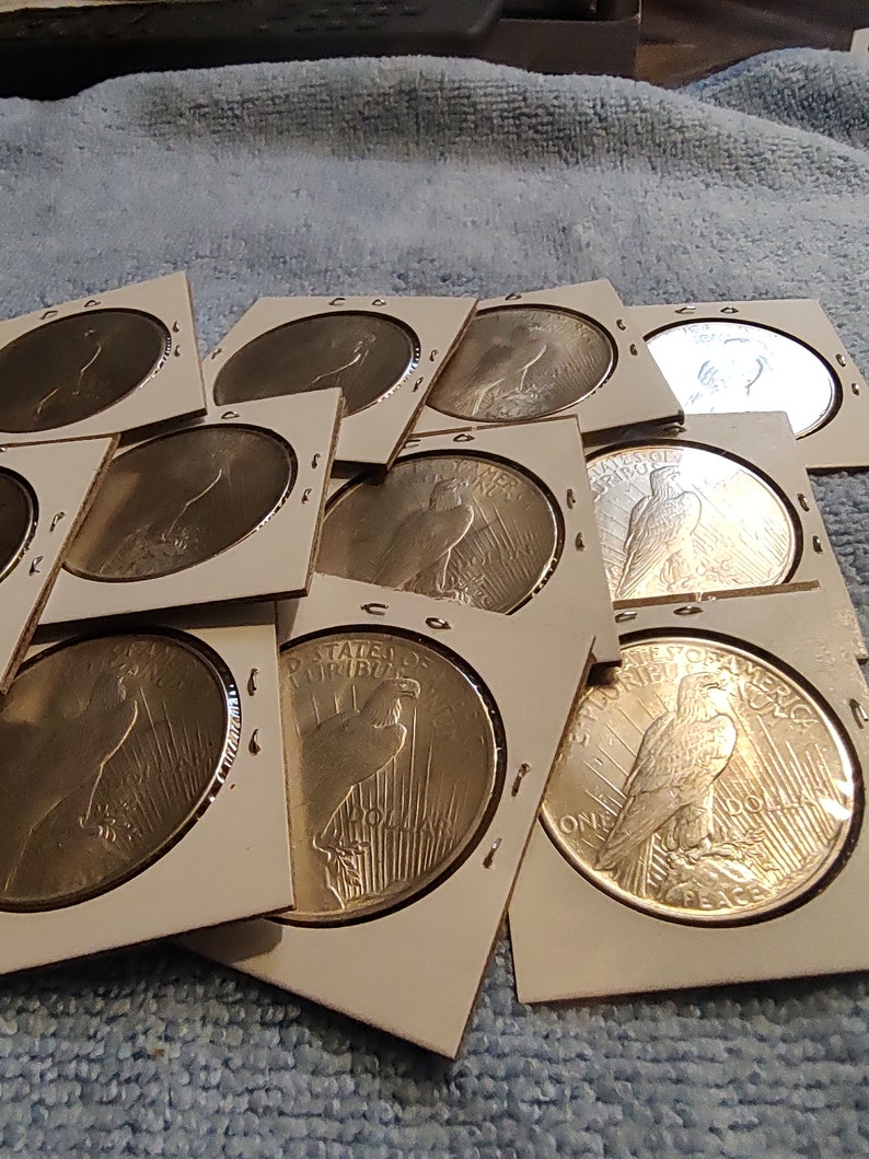 May include: A collection of silver dollar coins featuring the image of a bald eagle with outstretched wings. The coins are displayed in white cardboard holders with a black border.