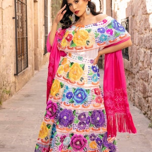 Traditional Mexican Chiapaneco Dress. Typical Embroidered Dress. Floral ...