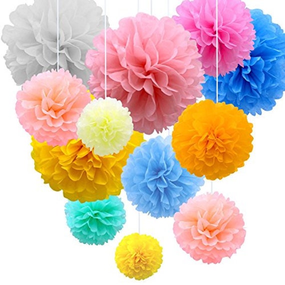 21 Pack Rainbow Colour Tissue Paper Flower Balls Pom Pom Etsy