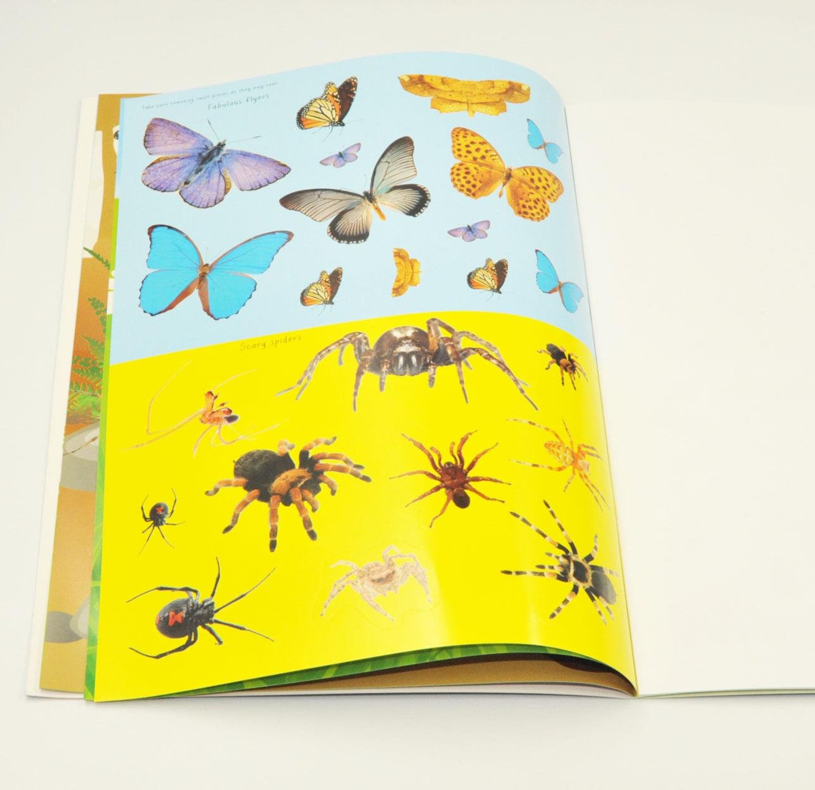 Kids Insects & Bugs Sticker Activity Book Books Children Etsy