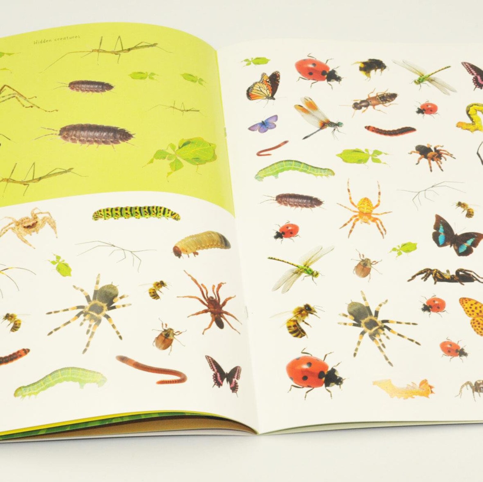 Kids Insects & Bugs Sticker Activity Book Books Children Etsy