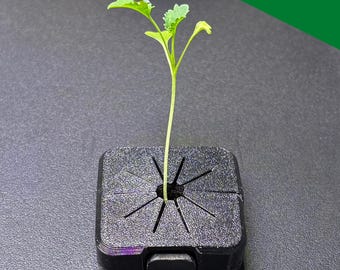 Coberturas de rede para jardins elevados