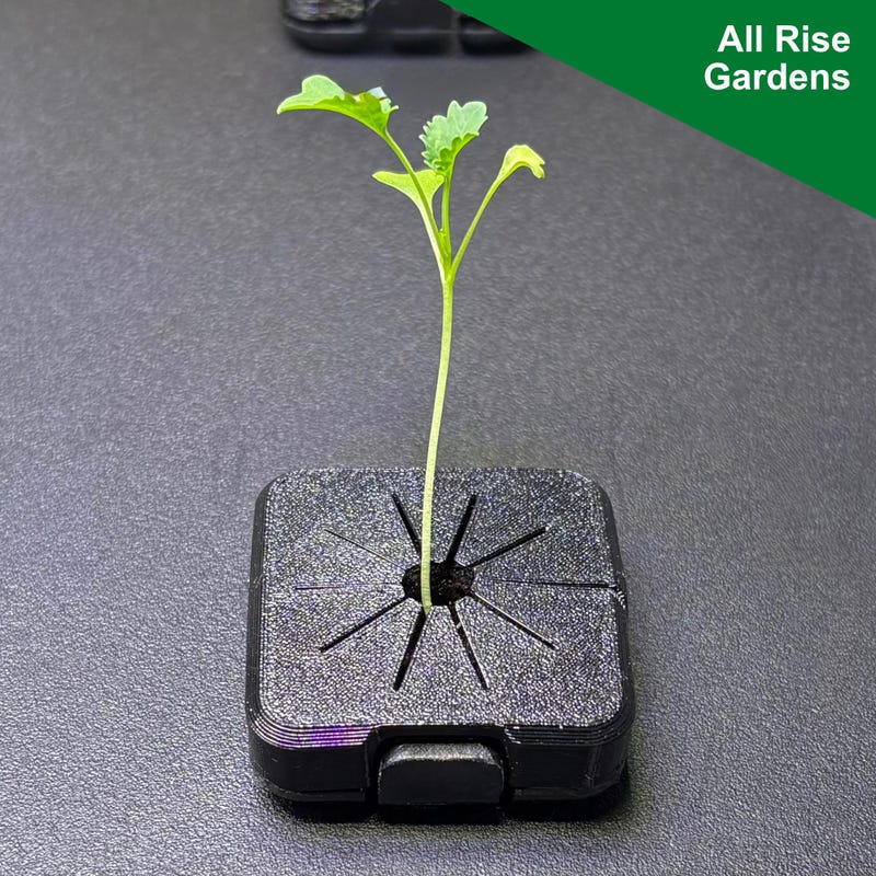 Net for Plant - Etsy