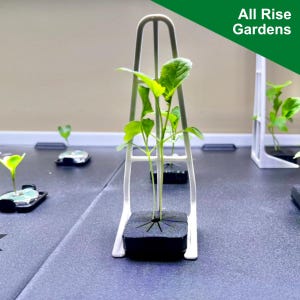 Better Plant Stands for Rise Gardens