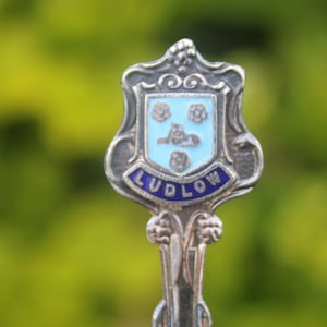 May include: A silver spoon with a decorative shield-shaped emblem. The emblem features a light blue background with floral and architectural designs, and the word "LUDLOW" in blue lettering. The spoon is set against a blurred green background.