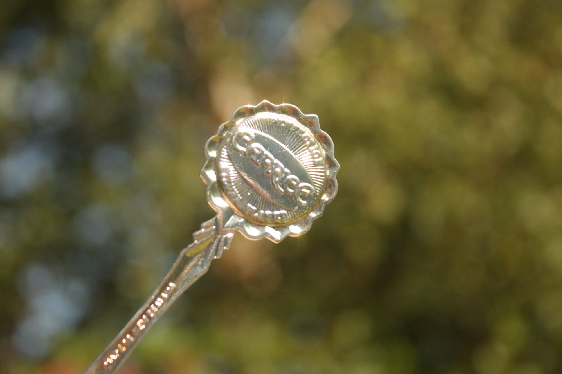 ヴィンテージ ボックス入りスプーン イエローストーン国立公園