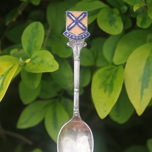 May include: A silver spoon with a decorative handle featuring a shield emblem with the word "NEWQUAY". The shield has a blue cross design on a gold background. The spoon is set against a backdrop of green and yellow leaves.