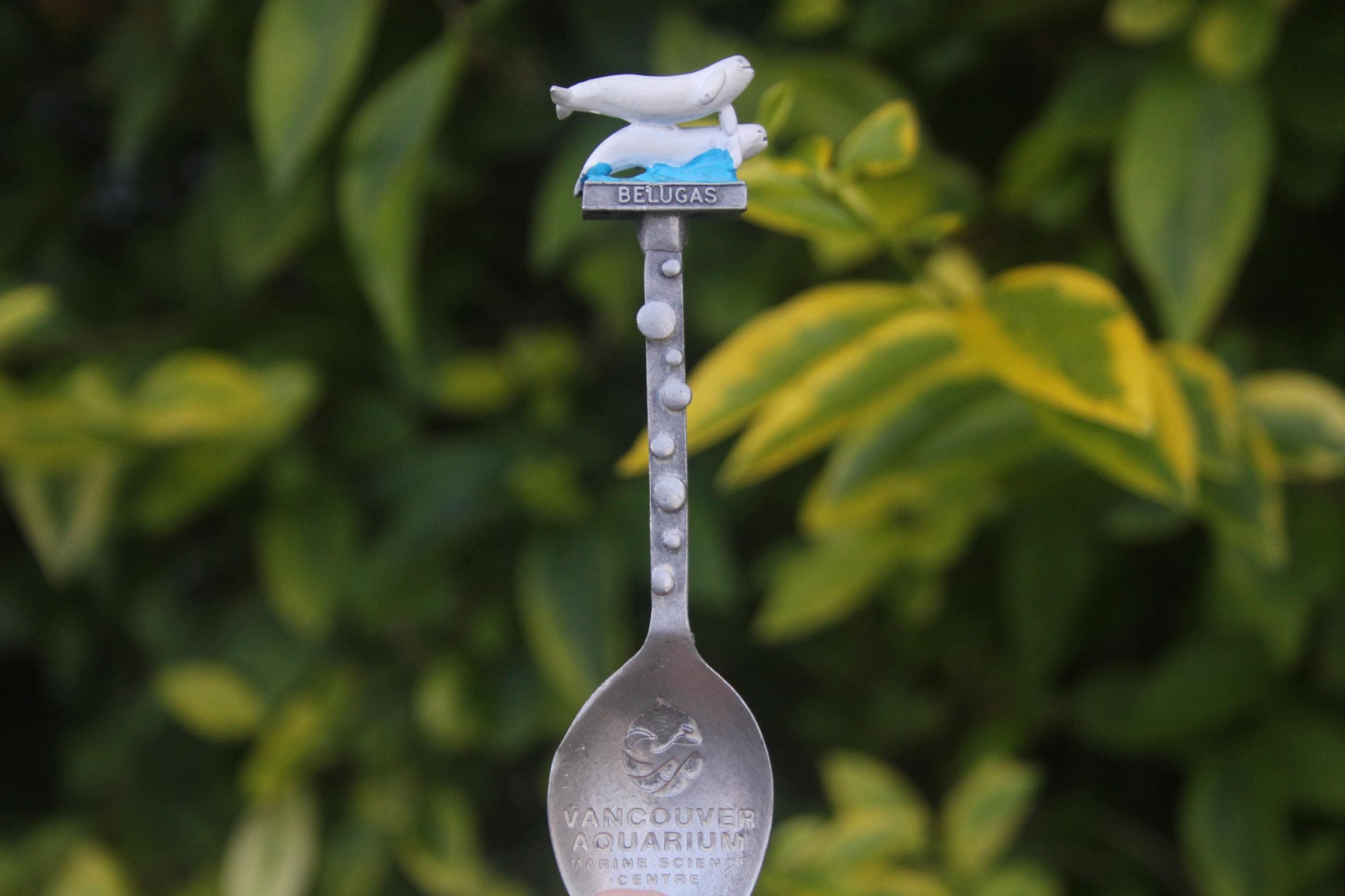 Bc souvenir spoon - Etsy 日本