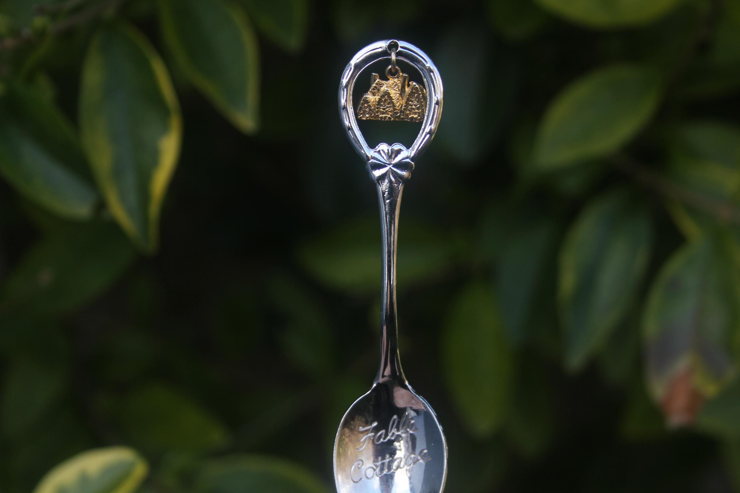 Bc souvenir spoon - Etsy 日本