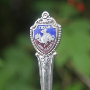 Texas souvenir spoon - Etsy 日本