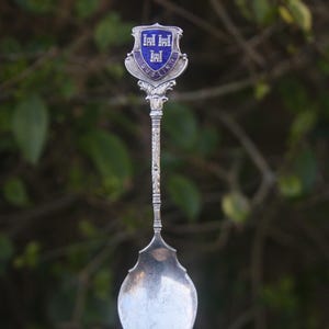 Può includere: Un cucchiaio d'argento con un manico decorativo e un'emblema a forma di scudo. L'emblema ha uno sfondo blu con scritte bianche e la parola "DUBLIN". Il cucchiaio è posto su uno sfondo verde sfocato.