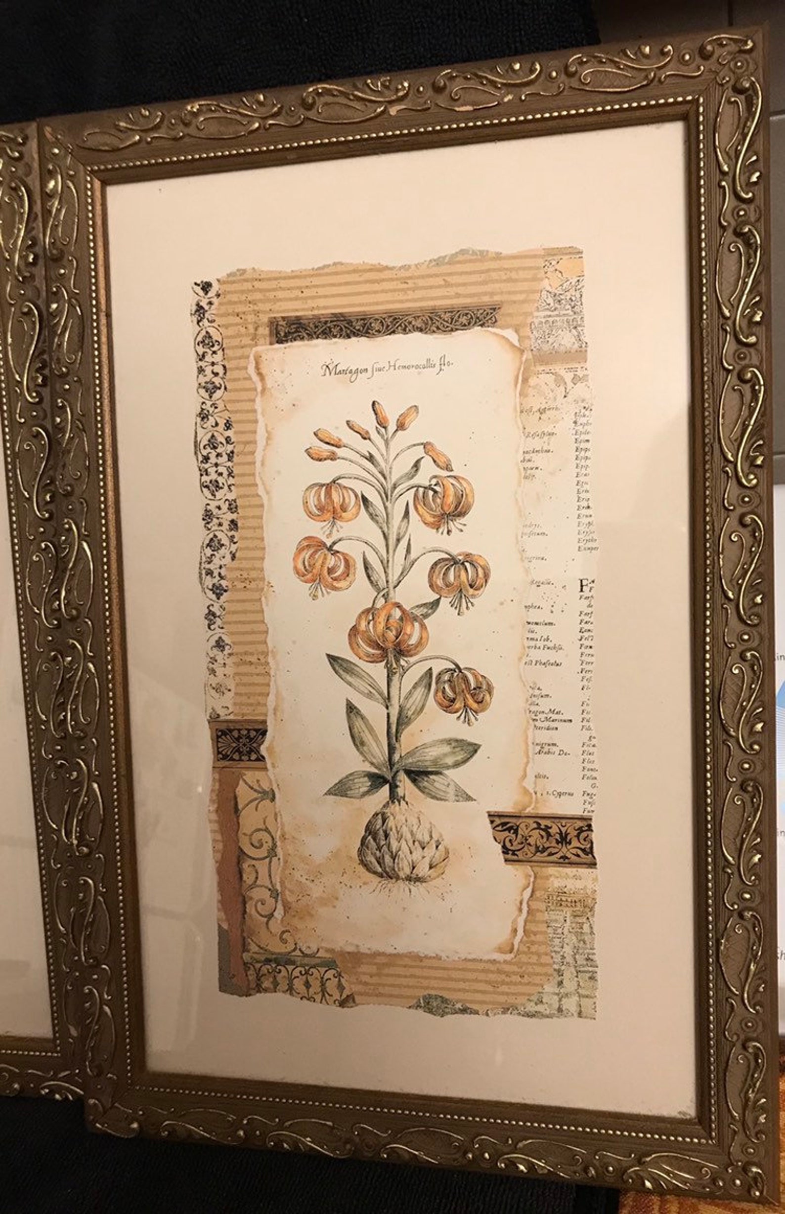 Framed Flower Prints by Pamela Gladding set of Two Etsy