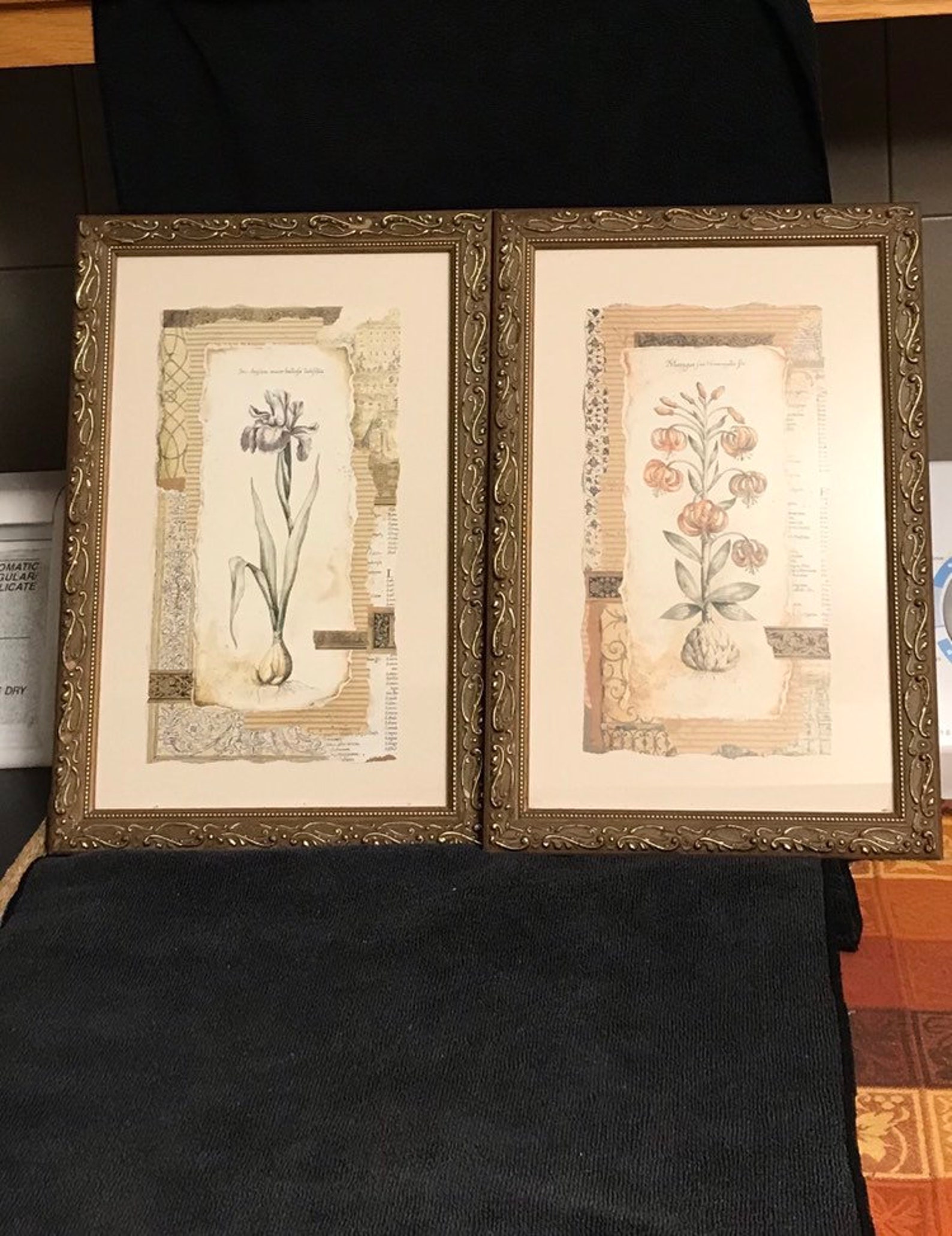 Framed Flower Prints by Pamela Gladding set of Two Etsy