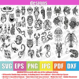 Animal mandala Set_5, 44pcs ,SVG, Clipart, esp, dxf, png, jpg, pdf mandala decorative,  t-shirt svg