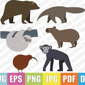Tropical Animals sloth, monkey bear 6pcs  svg, png, pdf, jpg, eps, dxf, t-shirt, clipart