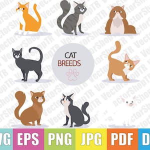 Cat svg, png, pdf, jpg, eps, dxf, t-shirt, clipart