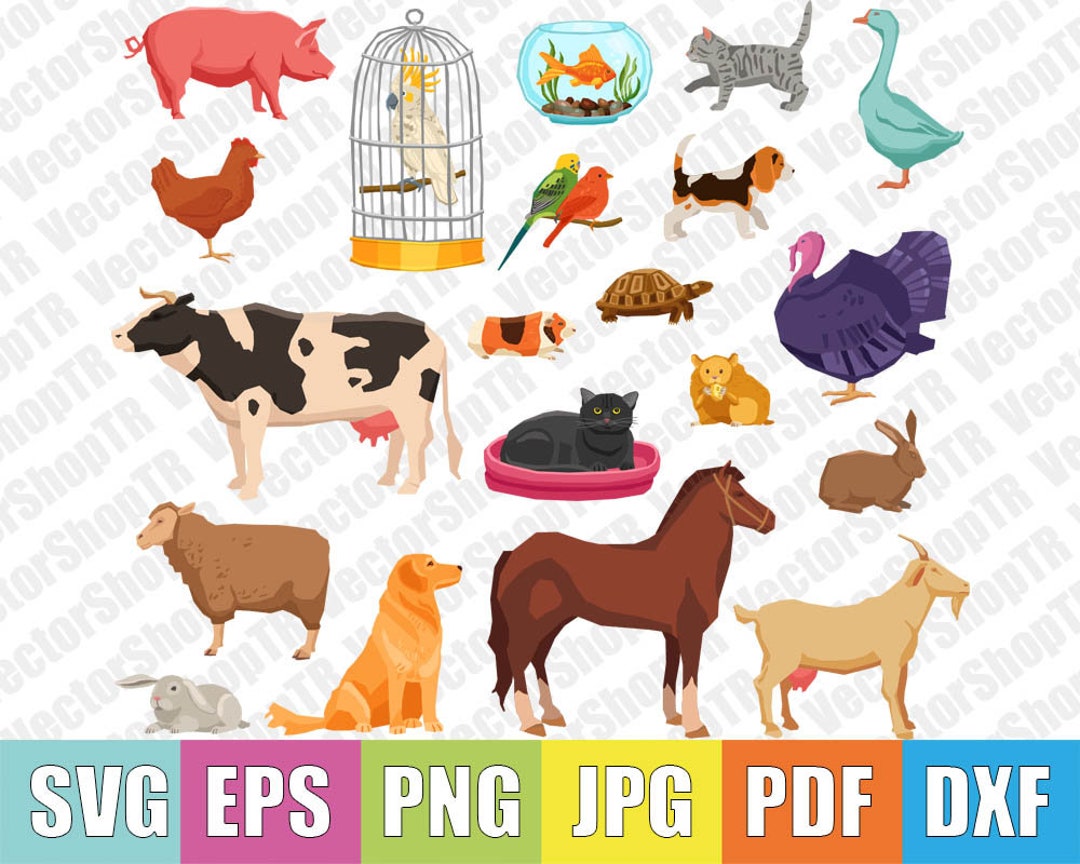 Animals Farm Animal Svg, Png, Pdf, Jpg, Eps, Dxf, T-shirt, Clipart - Etsy
