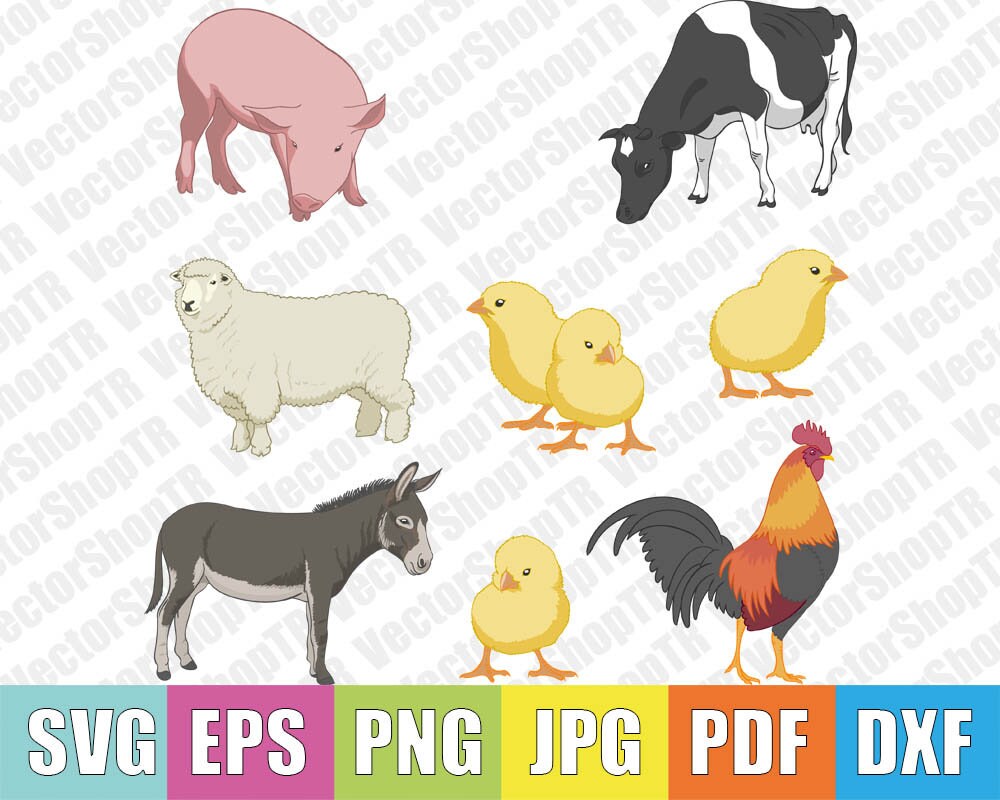 Farm Animals Donkey, Pig, Cow Sheep Svg, Png, Pdf, Jpg, Eps, Dxf, T ...
