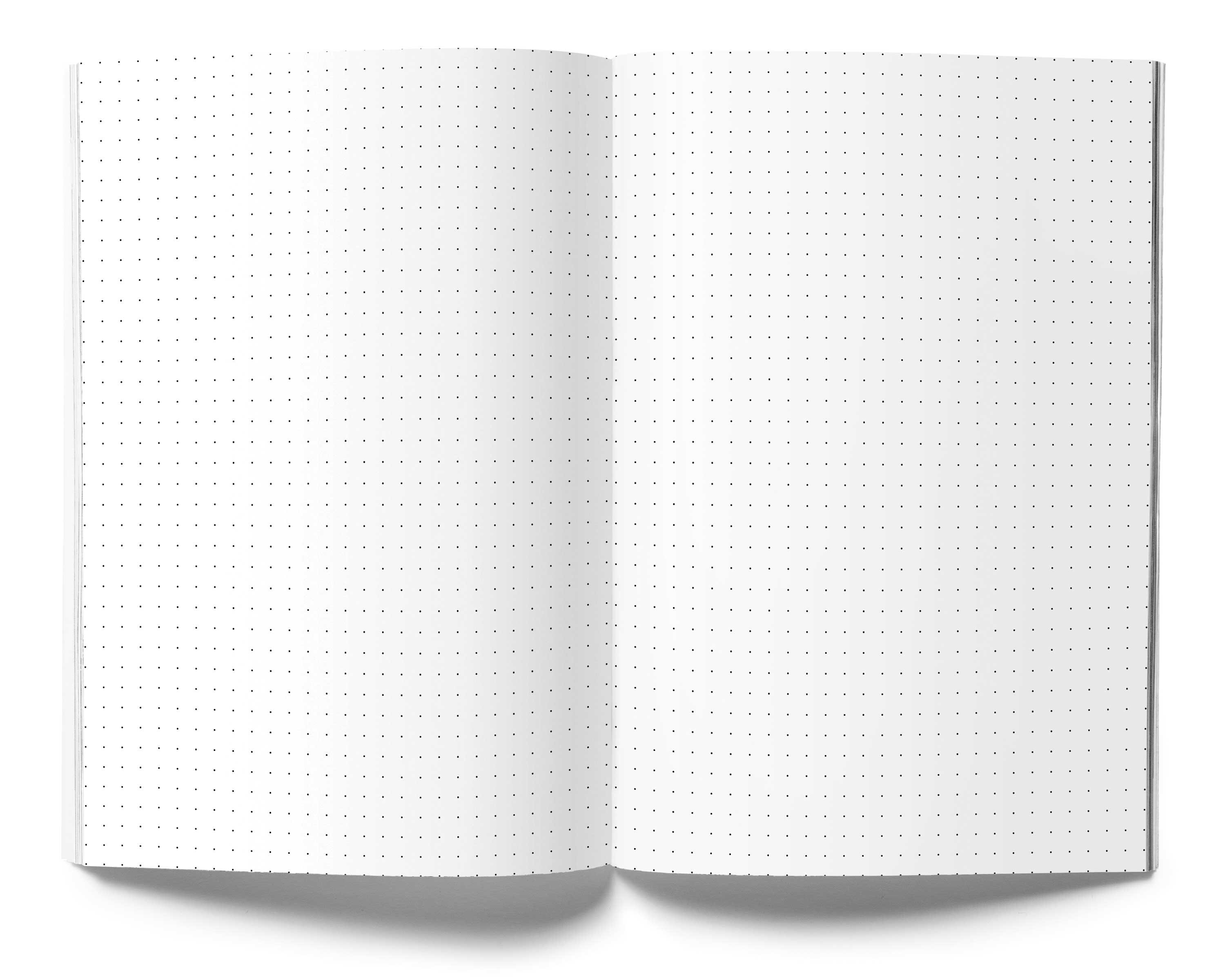 Daily Journal With Monthly Calendar