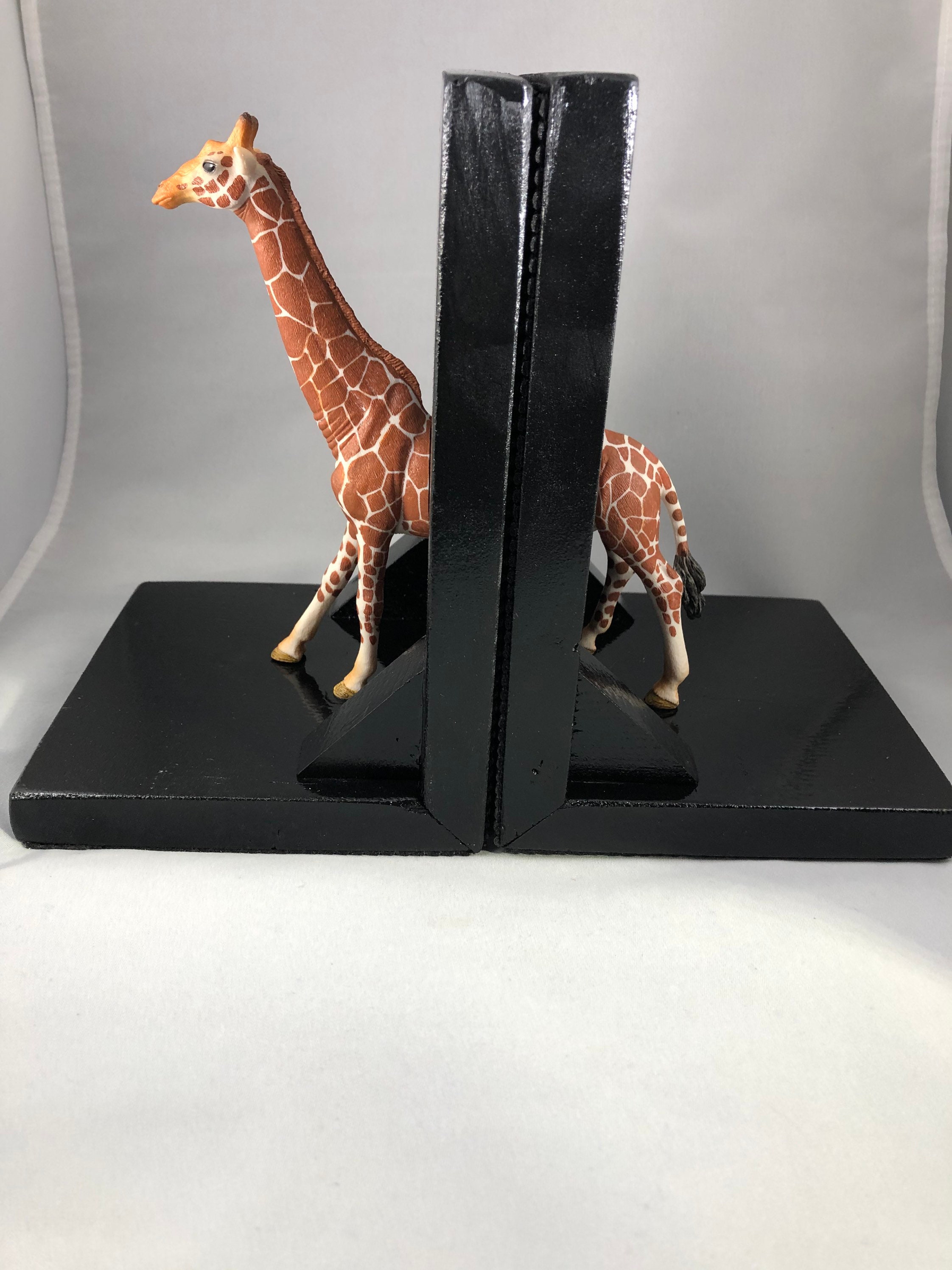  Unusual Bookends with Simple Decor