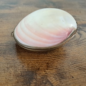 Può includere: Una piccola conchiglia bianca con un interno rosa è racchiusa in una cornice di ottone. La conchiglia ha una superficie liscia e lucida ed è di un delicato colore rosa.