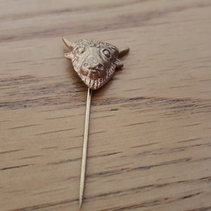 Vintage RAOB Stick Pin, przypinka do klapy, przypinka do krawata