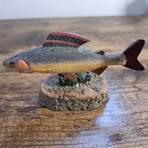 Peut inclure: Figurine détaillée d'un poisson avec une nageoire dorsale rayée rouge et noire, des écailles grises et un ventre jaune. Le poisson est monté sur une petite base texturée en forme de pierre avec du feuillage vert. C'est un objet décoratif.