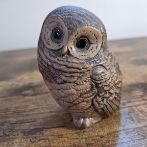 Può includere: Piccola e dettagliata statuina a forma di gufo, nei toni del marrone e del beige. Il gufo ha grandi occhi scuri e una superficie strutturata, che gli conferisce un aspetto realistico. La statuina è appoggiata su una superficie di legno.