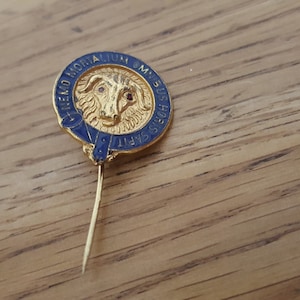 Vintage RAOB Stick Pin, przypinka do klapy, przypinka do krawata