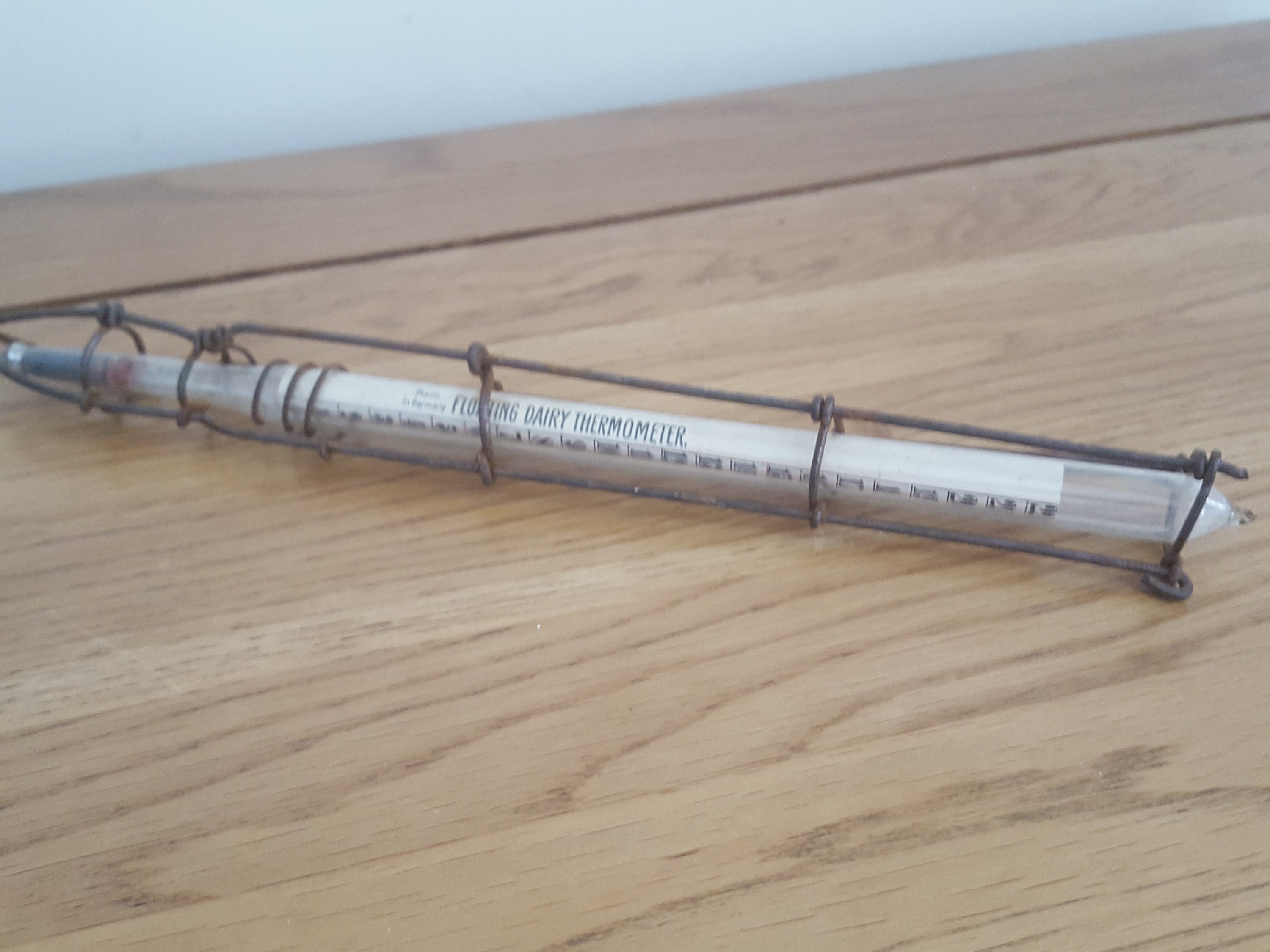 Floating Dairy Thermometer (Thermco)
