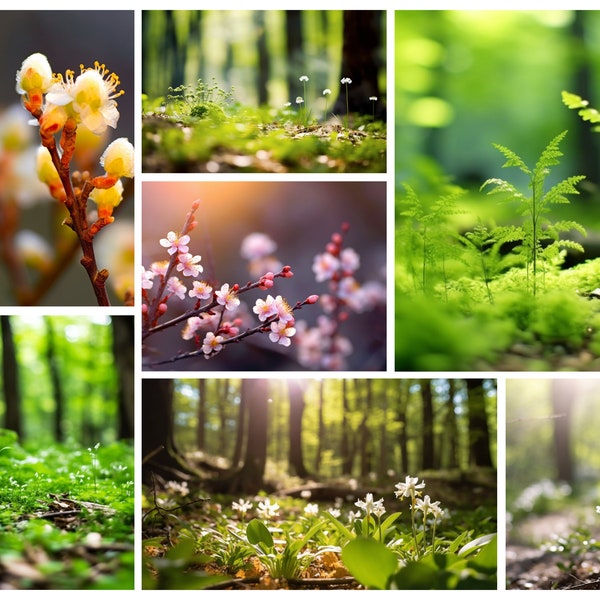 x20 Stock Photos Natur | Natur Stock Photos, Frühling Natur Stock Bilder, Kommerzielle Lizenz, Blumen Stock Photos, Wald Stock Photos