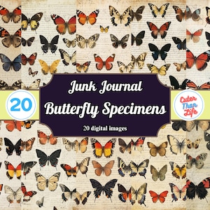x20 Butterfly Specimen Papers, Vintage, Digital, Printable, Junk Journal Papers, Scrapbook, Junk Journal Supplies, Junk Journal Butterfly