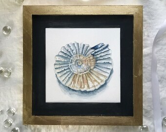 Seashell Art, Watercolor Painting, Original Art,  seashell watercolor illustration, nautilus art, coastal art, beach decor, gift for her,