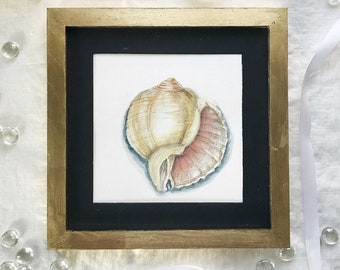 Seashell Art, Watercolor Painting, Original Art, Coastal Illustration, Beach Decor, Shell Wall Art, Gift for her, one of a kind, wall decor