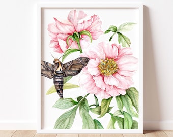 Rose and Moth botanical watercolor and gouache illustration. Art Print of pink rose. Wall art print, floral art, nature inspired wall art