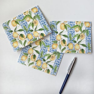 Conjunto de tarjetas de notas, tarjeta plegada, conjunto de escritura de cartas, tarjetas de notas botánicas, tarjetas de agradecimiento, azul y blanco, regalo de anfitriona para ella, limones