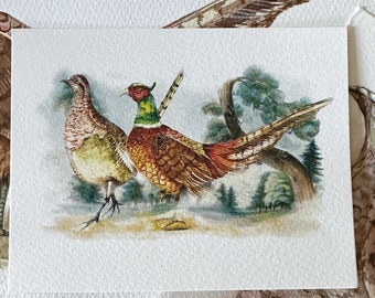 Personalized stationery custom gift for him,  Stationery notecards,  thank you  cards, any occasion gift, pheasant watercolor, fall decor