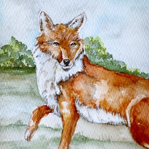 Fox watercolor painting, original art, equestrian art, wild animal artwork, boys room, nursery, farmhouse image 5