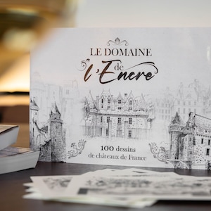 100 drawings of French castles