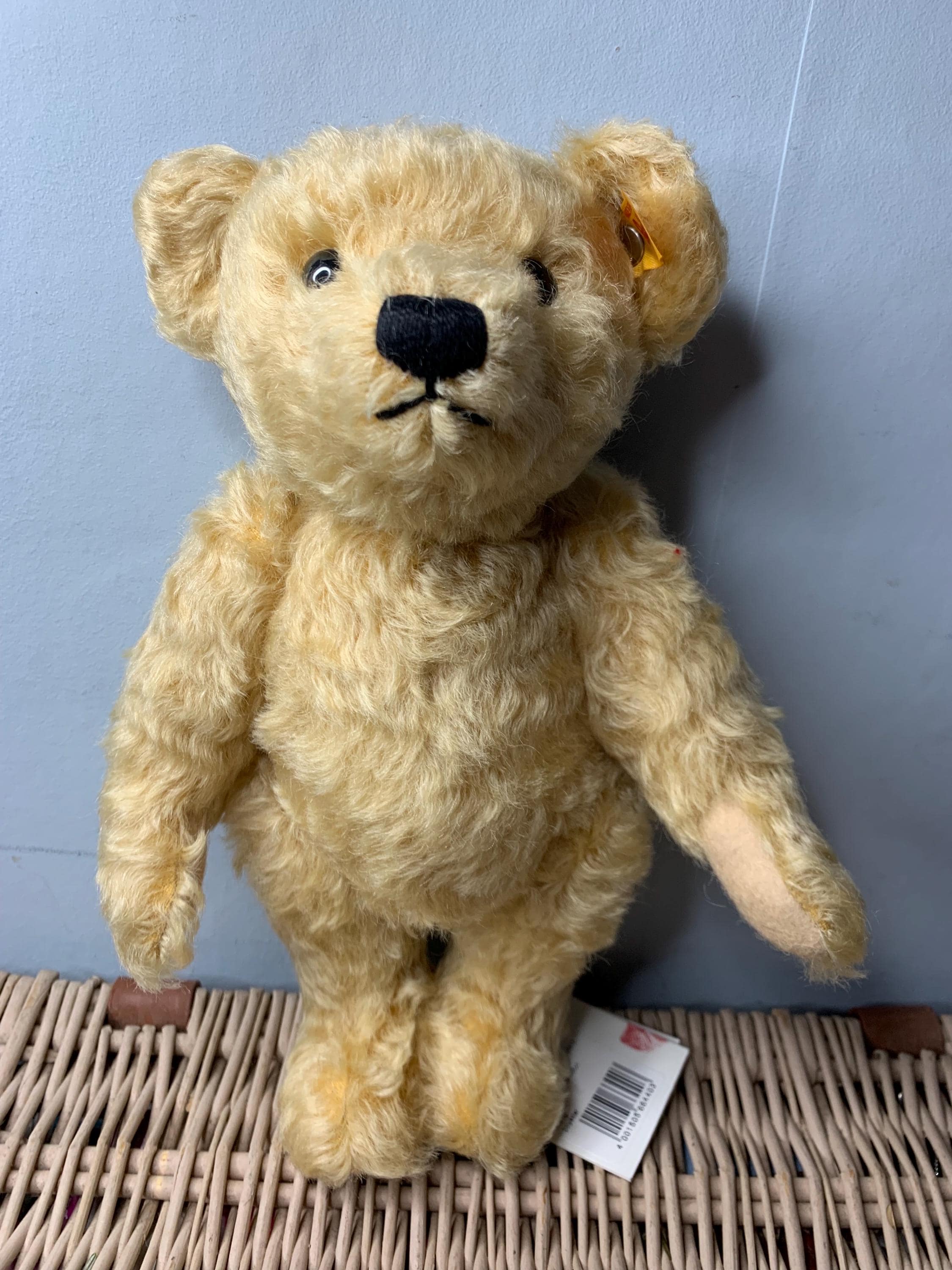 Steiff jackie bear - Etsy 日本